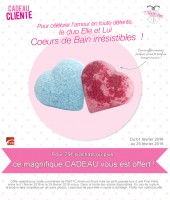 /album/produits/flyeroffrecliente022016-jpg/